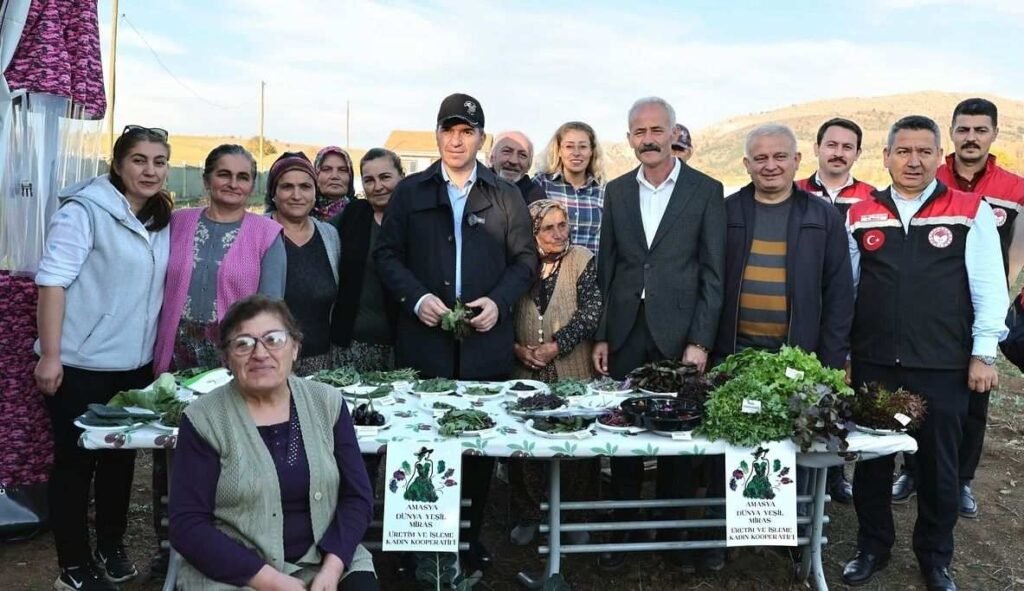 amasya aromatik bitkiler1 1762439210