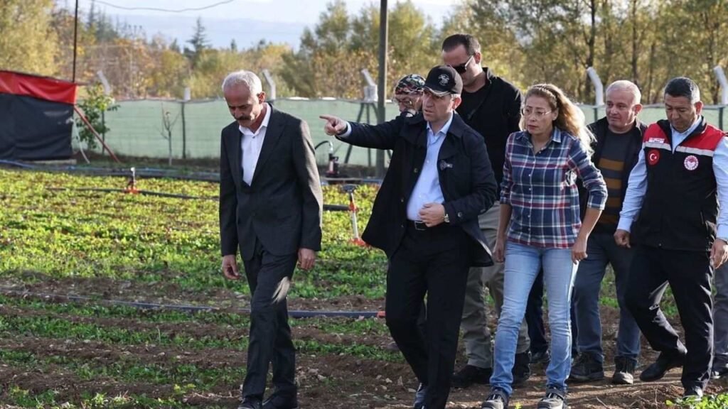 amasya aromatik bitkiler2 1762439216